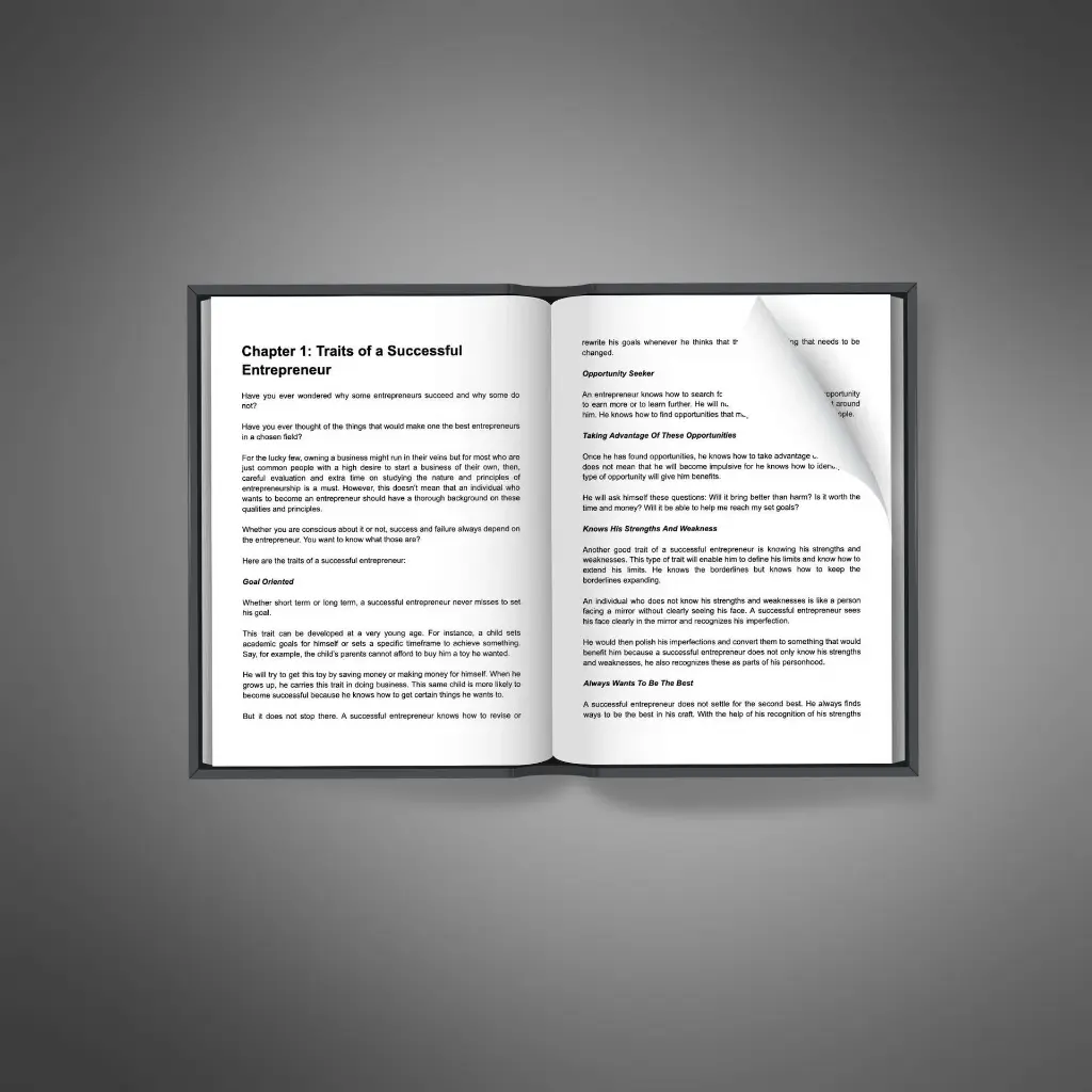 Powerful Entrepreneur2.webp