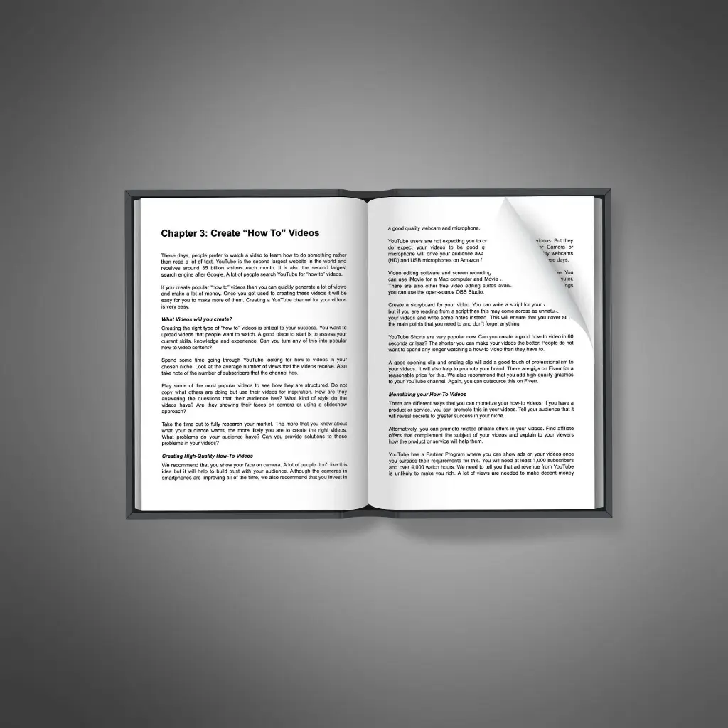 Side Hustle Success2.webp