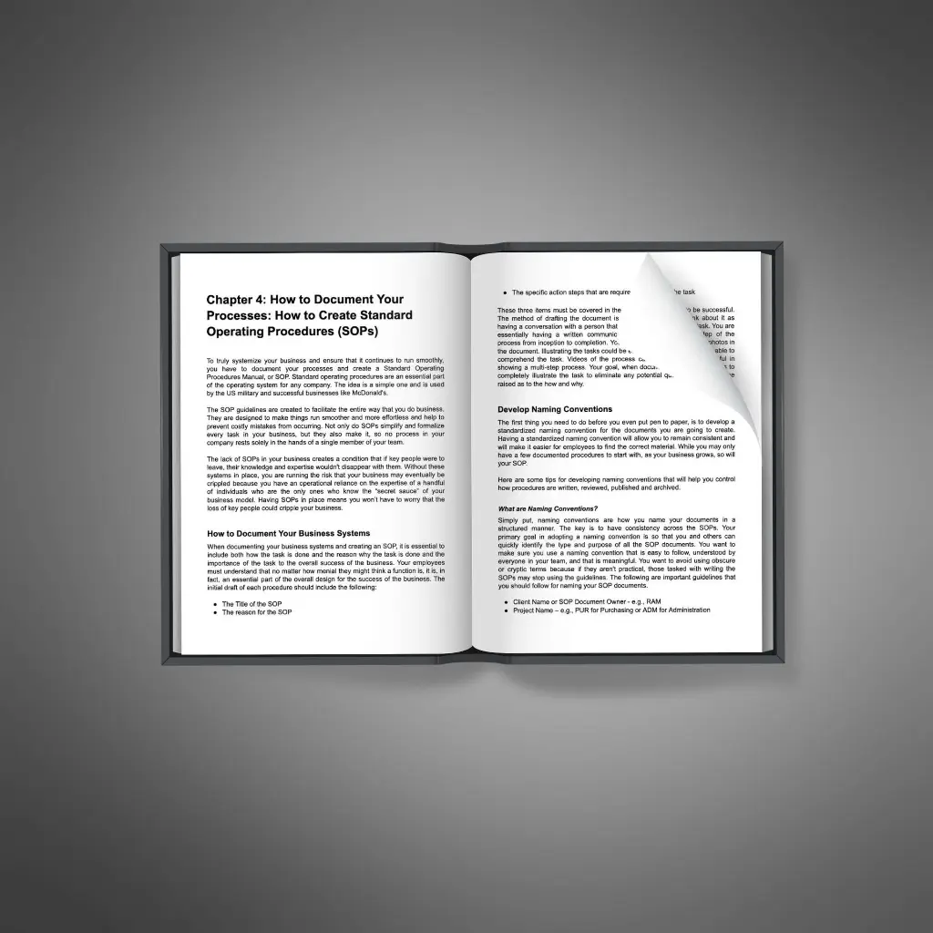 Business Sytemization2.webp