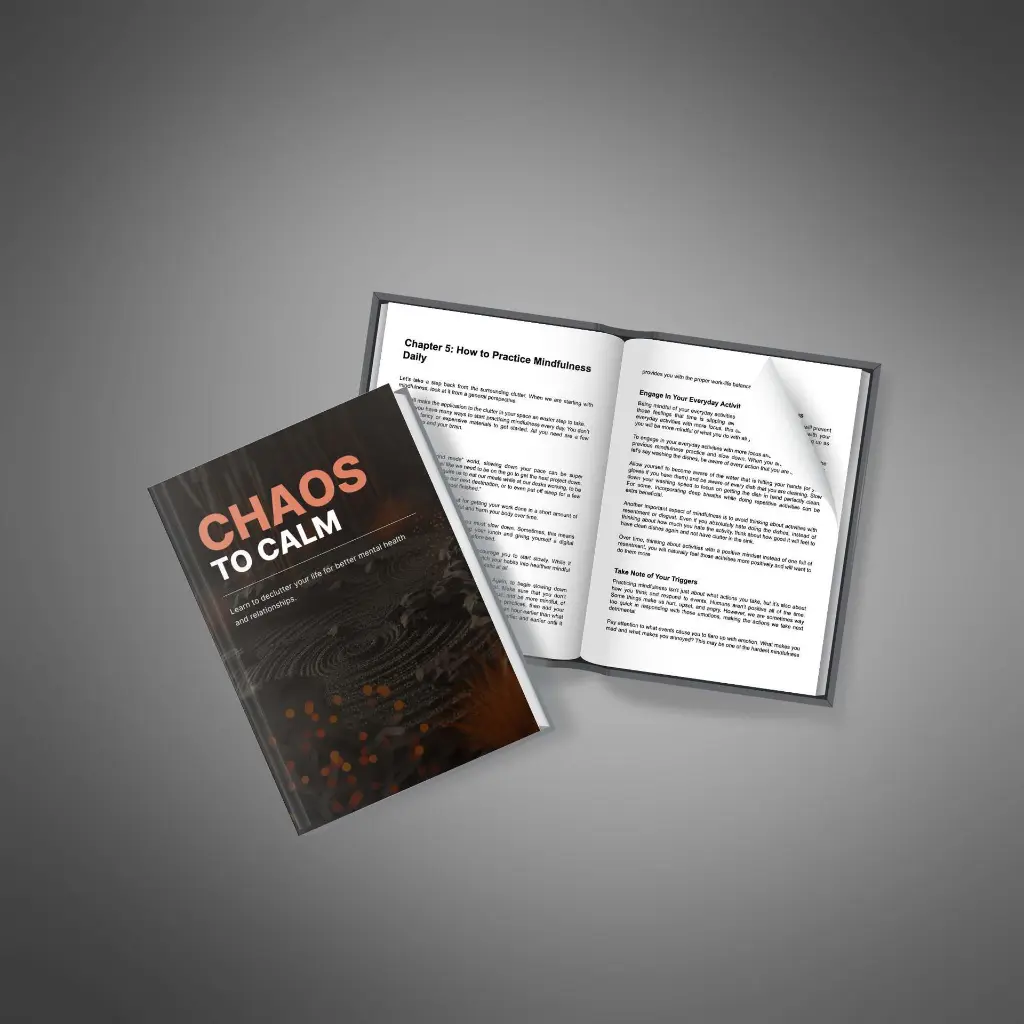 Chaos to Calm4.webp