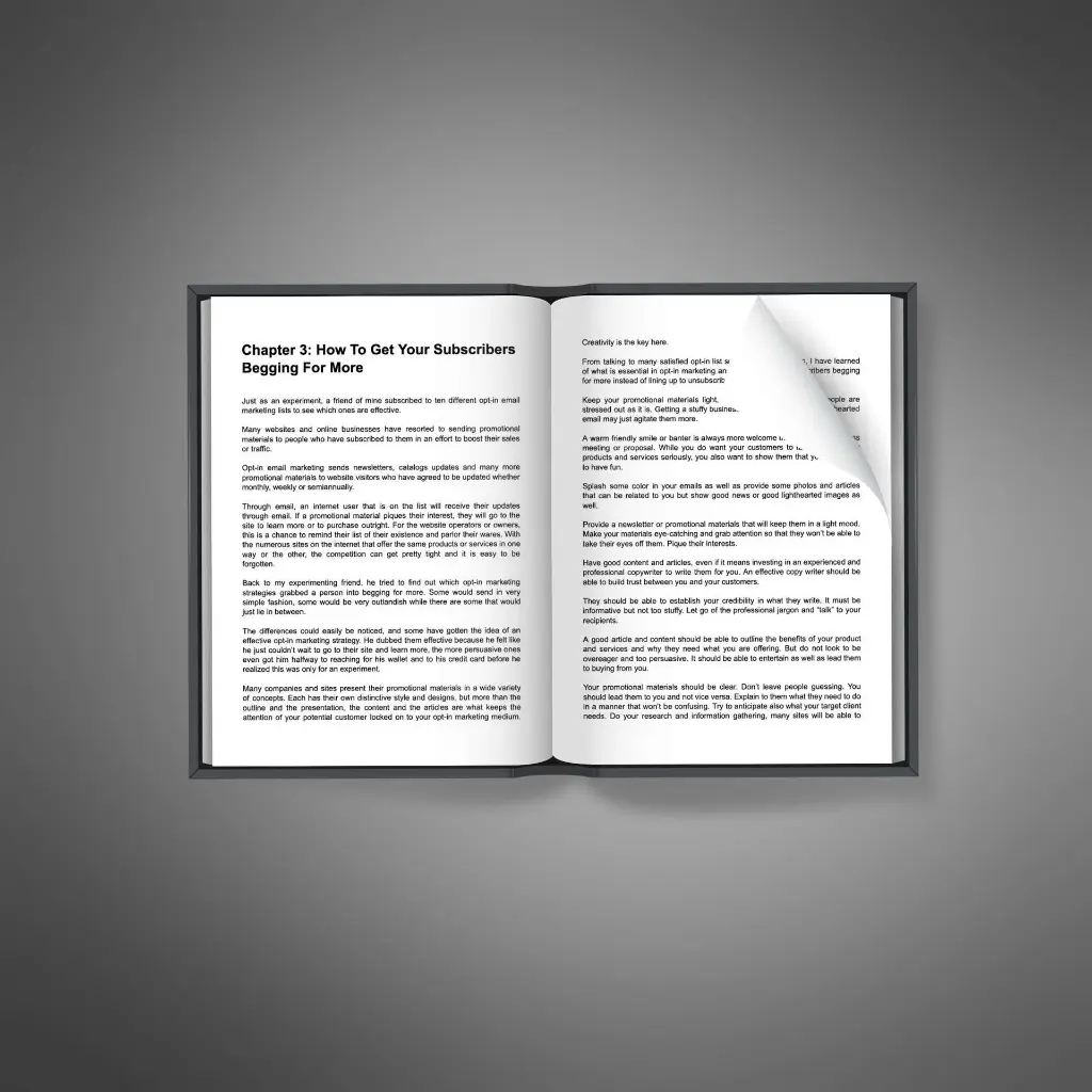 Email Marketing Influence2.webp