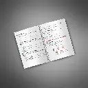 Freelance Standout - Workbook3.webp