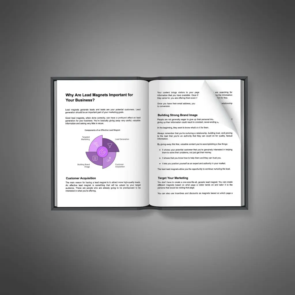 Lead Magnet Conversions - Book2.webp