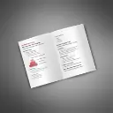 MicroSaas Success Blueprint - Guide3.webp