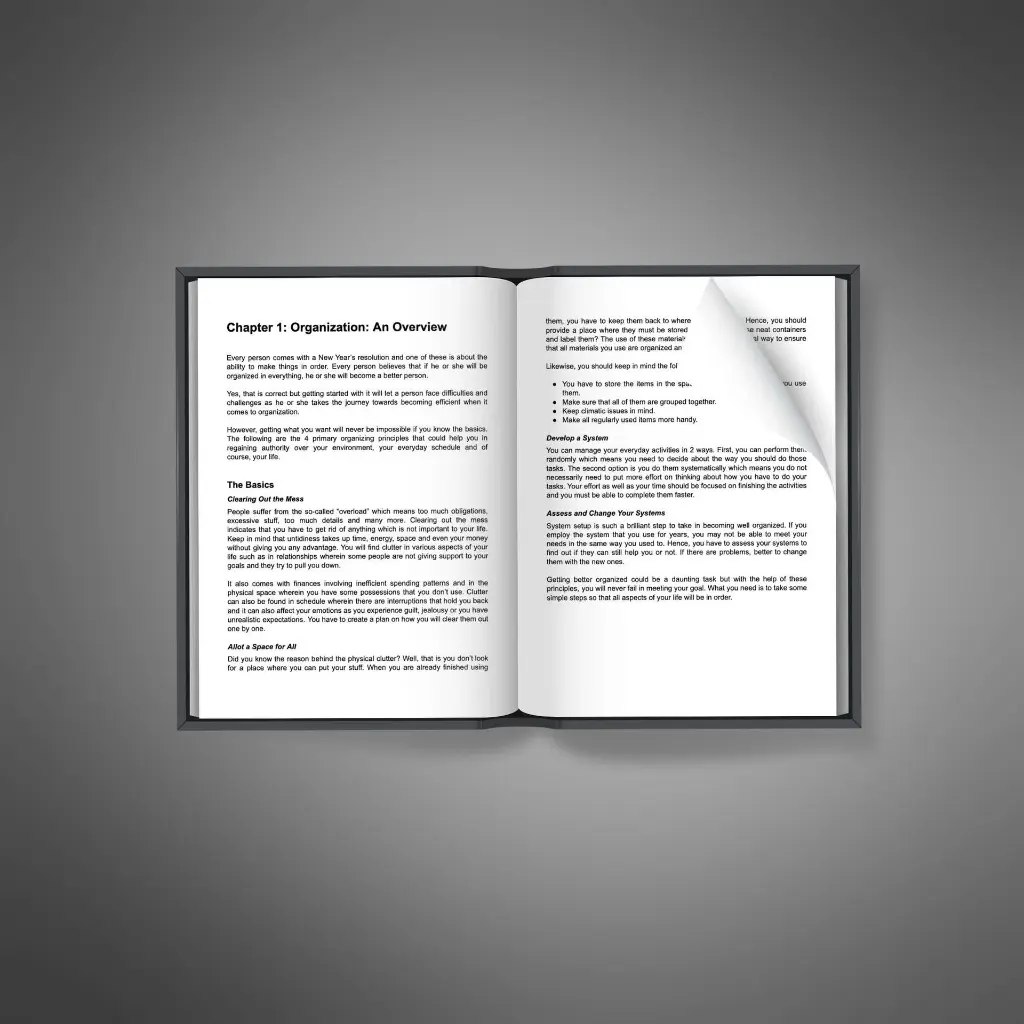 Organizing Excellence2.webp