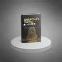 Snapchat Traffic Booster3.webp
