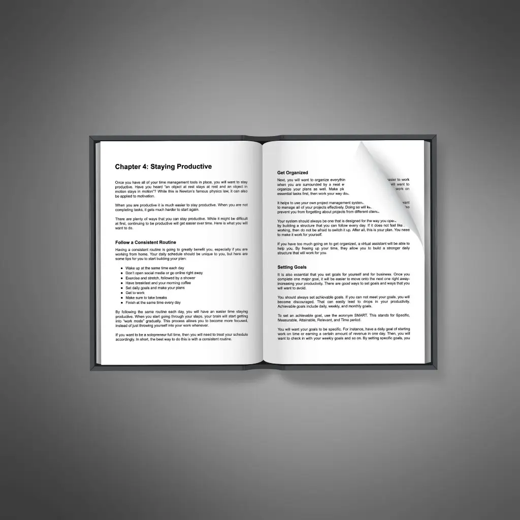 Solopreneur Success2.webp