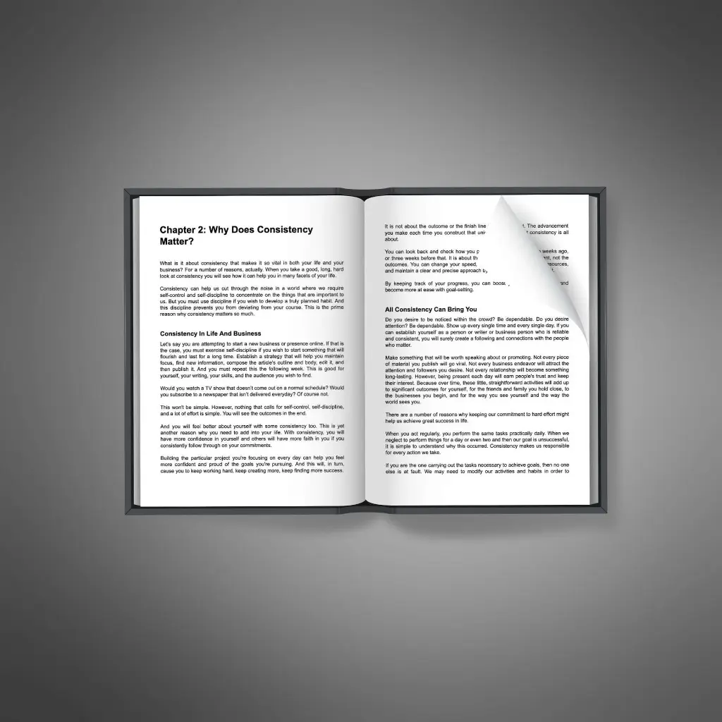 The Art of Consistency2.webp