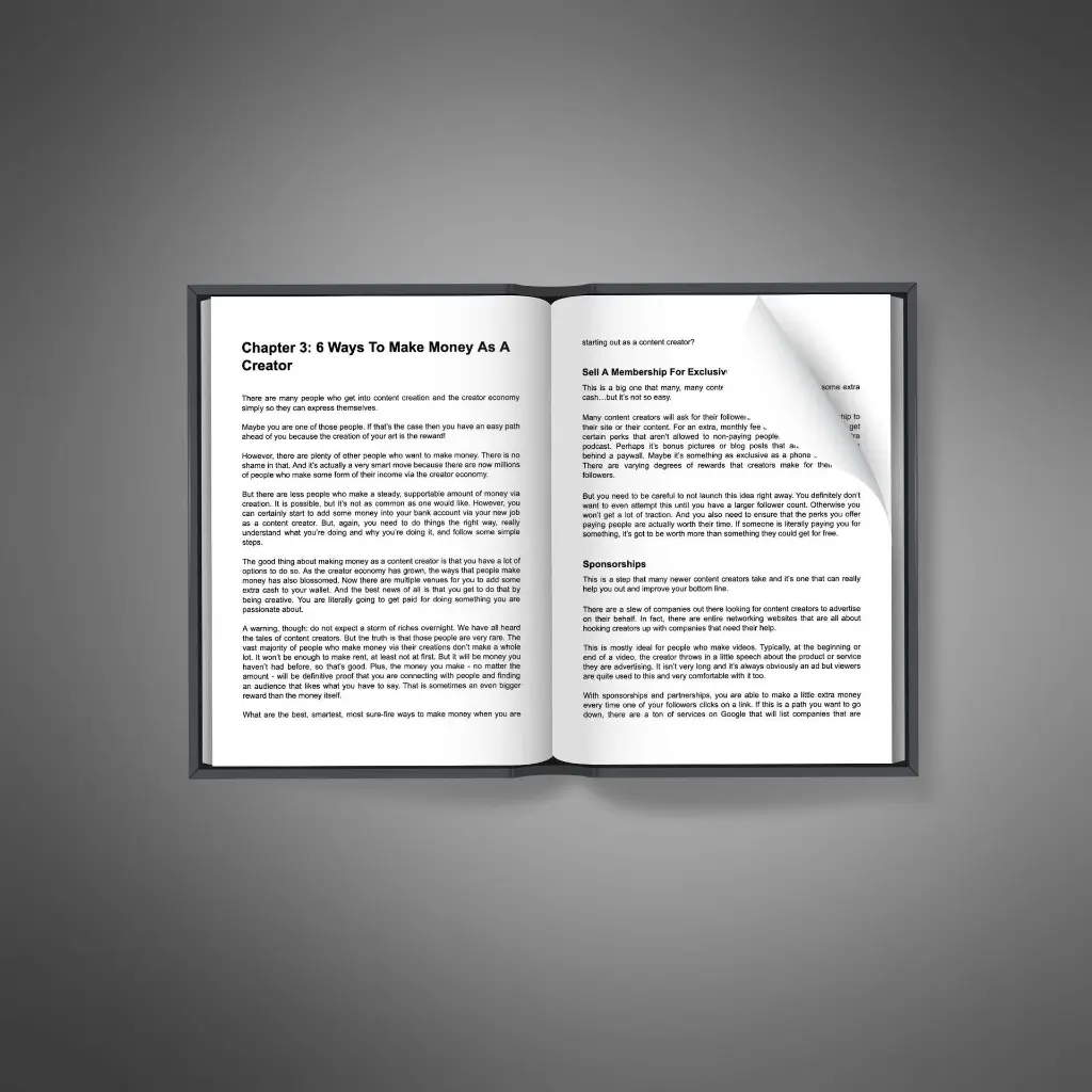 The Creator Economy2.webp