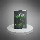 The MVP Playbook - Guide1.webp