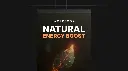Natural Energy Boost - Workbook