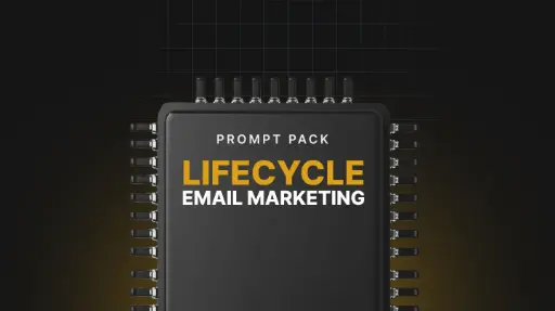 Lifecycle Email Marketing - Prompts